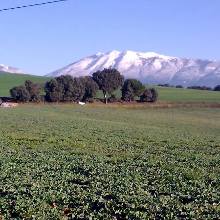 Ribalta