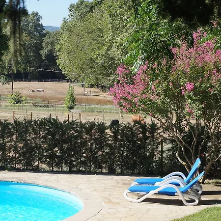 Ribalta Hotel 4*